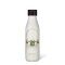 Les Artistes Isothermische Bottle Skater 500ml
